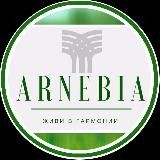 Arnebia_official | Компания АРНЕБИЯ: 30 лет на российском рынке