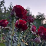 🌱Красота и Здоровье🌱
