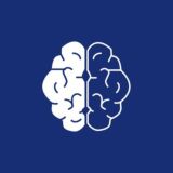 Umed academy 🧠