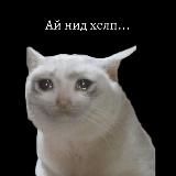 Студенческие инсайды