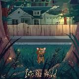 Warrior Cats / Коты–Воители / каты ваитили/ каты вадитили/ каты страитили / кошечки воины / плоники стаи / warriors cats / каты