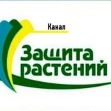 Канал защиты растений 🍅