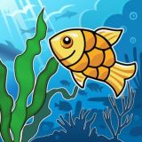 АкваМир 🐬
