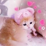 kitty lashroom | РЕСНИЦЫ & БРОВИ | Китти Лэшрум