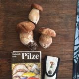 Pilz-Allmende Lüneburg 🍄