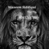 Waseem_Siddiqui [7007%]