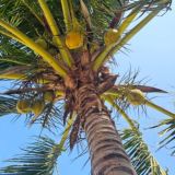 ТУРАГЕНТ: Пхукет 🌞 Москва 🌴