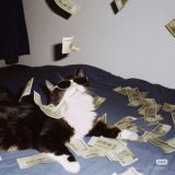 𝙂𝙐𝘼𝘿𝘼𝙂𝙉𝙄 𝙊𝙉𝙇𝙄𝙉𝙀 💸 🩻
