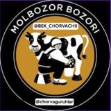 Qarshi Qamashi Beshkent G'uzor molbozori