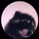 4tEAM x PUBG