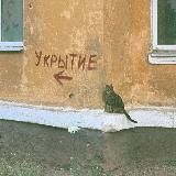 Делай то, что ближе