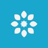 BlissROMs Community