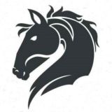Financial Horse - Singapore Stock and REIT Investments 🐴