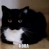 Гiвно