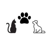 Pet's World