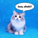 How, Sliwki?