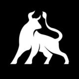APEX BULL FO®EX (free) SIGNALS