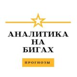 Аналитика на бигах