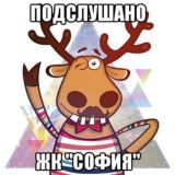 Подслушано ЖК «София» СПб