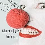 Gece Mavisi