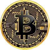 Pro Blockchain