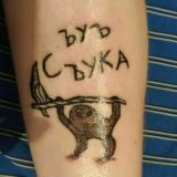 Жаби і гадюки