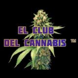 EL CANAL 🍃