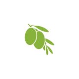 Церковь Претеризма Израиль