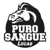 Purosangue Lucas Official 🐎