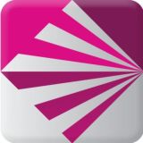 Project V （使用与反馈）