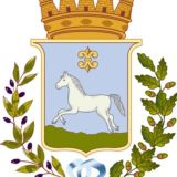 Polizia Locale Martina Franca INFORMA