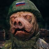 Lапти