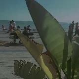 ШАБЛОНЫ CapCut | ПРОМПТЫ ИИ | Reels 🎥