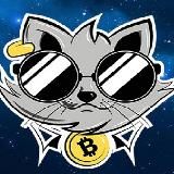 КриптоКот