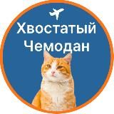 Хвостатый чемодан | О путешествиях с питомцами