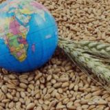 Agro News | Агро новини та ціни