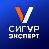 Сигур эксперт: индустрия безопасности