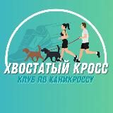 Хвостатый кросс: клуб по каникроссу cross_of_tails