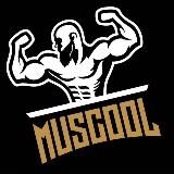 Muscool.ru