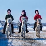 Мемы трёх хачей