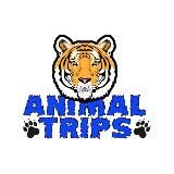 Перевозка животных | Animal Trips