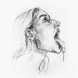 VASSEVASS