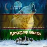 Қасқырлар мәканы 🐺