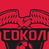 ФК «СОКОЛ» Казань