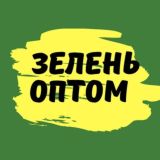 🇺🇿Kókat bozori ☘️ Зелень оптом 🌿