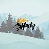 Блог Ильи Душутина 🎮