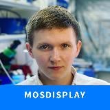 Мосдисплей