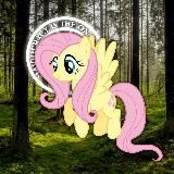 Maidocracy