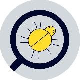 yellow_qa