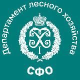 Департамент лесного хозяйства по СФО